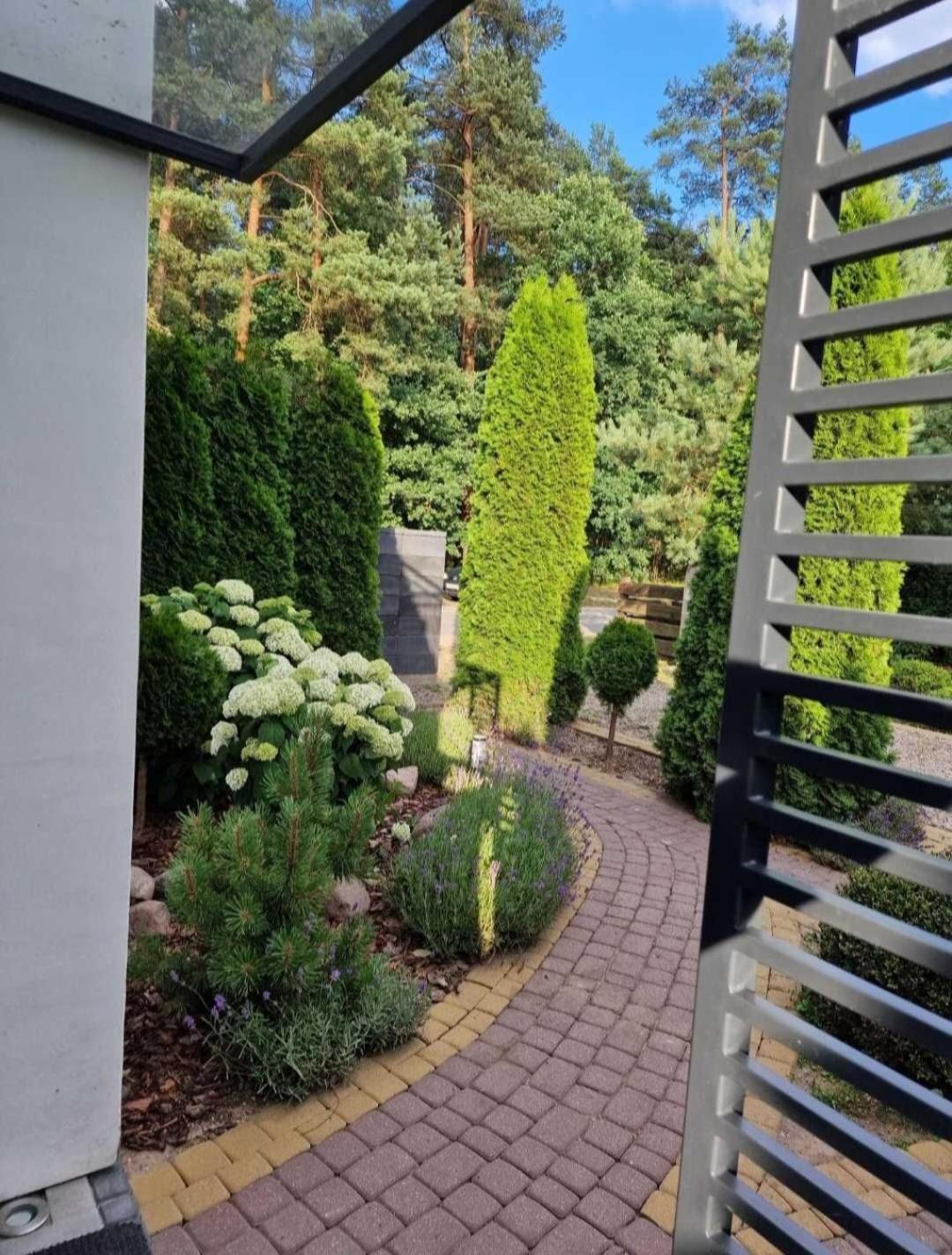 Apartamenty Pod Sosnami Ostroda Miedzylesie 6Os Bilik gambar